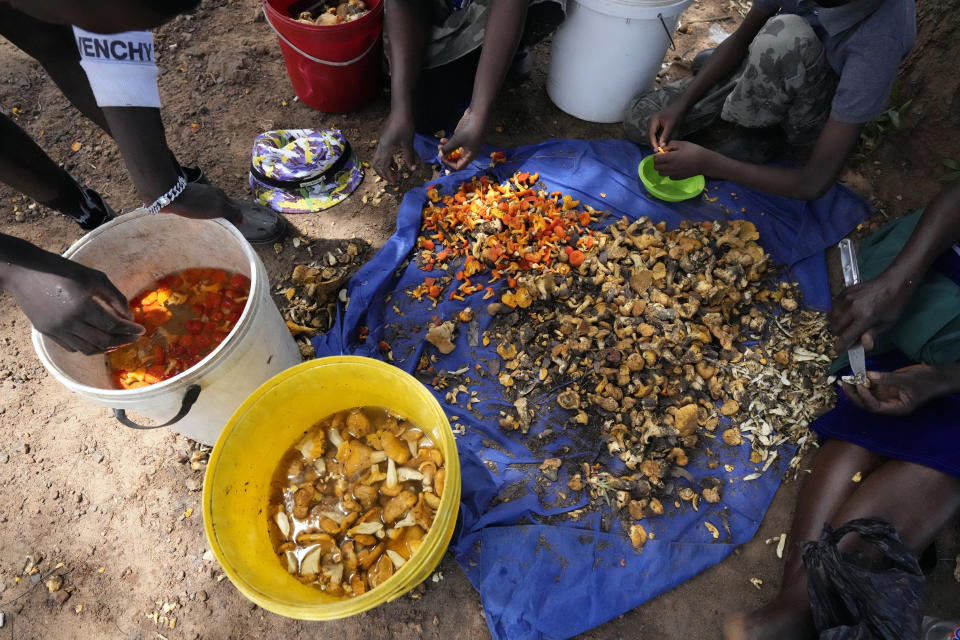 Mujeres utilizan cuchillos y agua para limpiar hongos silvestres antes de unirse a la dura competencia de atraer a los automovilistas para que les compren un poco, en las afueras de Harare, Zimbabue, el martes 21 de febrero de 2023. (AP Foto/Tsvangirayi Mukwazhi)