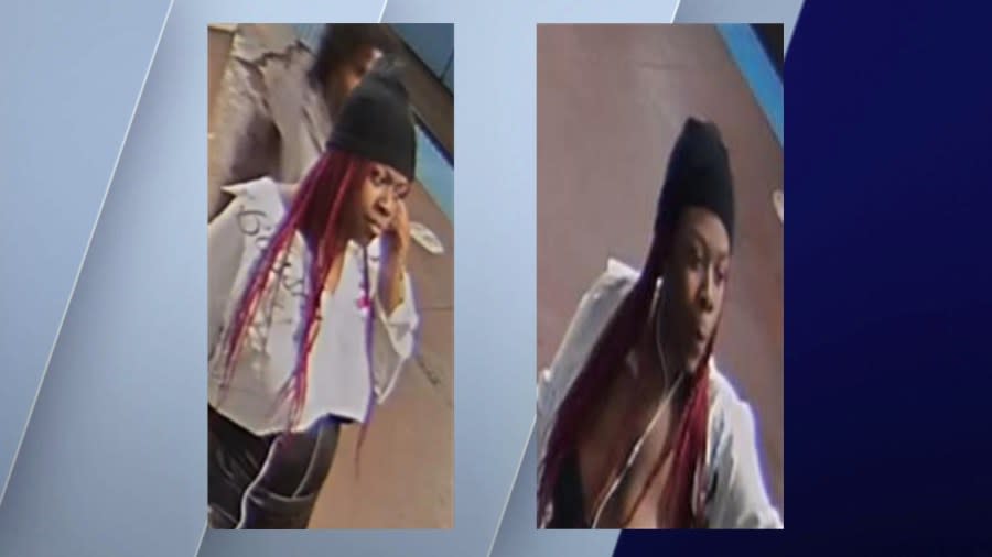 Chicago police provided photos captured by CTA security cameras of two people who officers believe are responsible for a robbery at a South Side Red Line Station.