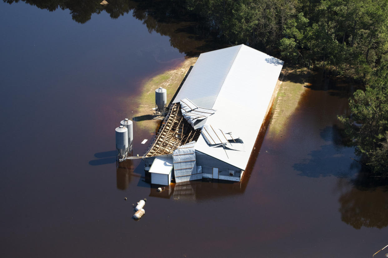 This image provided by Greenpeace shows a&nbsp;damaged structure on a hog farm surrounded by floodwaters in White Oak, North Carolina, after Hurricane Florence battered the area. (Photo: Jason Miczek/Greenpeace)