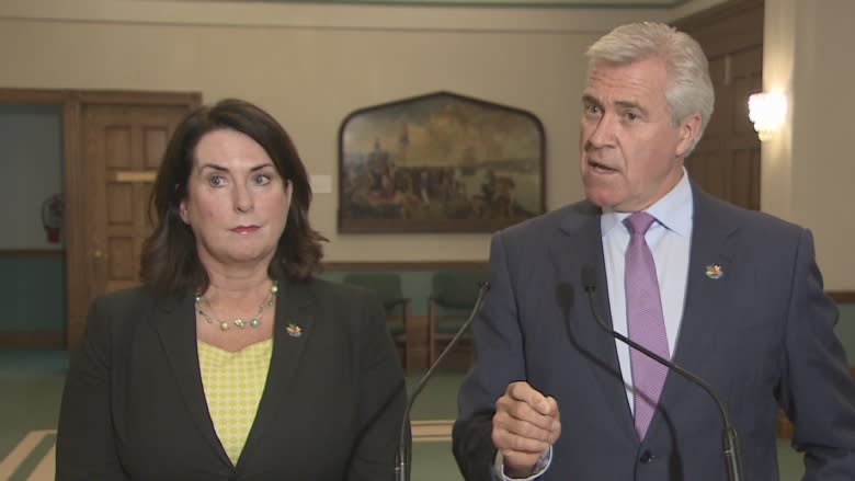 Did Ed Martin see report detailing Muskrat Falls risks? Premier says yes, he says no