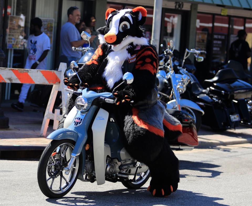 A rider gets into the Halloween spirit during the recent Biketoberfest event in Daytona Beach. There are plenty of parties and events to mark the holiday in Volusia and Flagler counties.