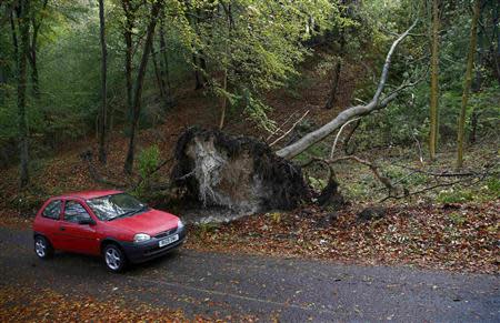 A car drives past an toppled tree in Chinnor in southern England October 28, 2013. REUTERS/Eddie Keogh