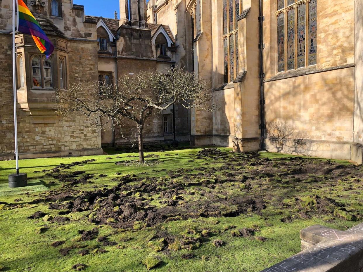 Trinity College lawn in Cambridge after Extinction Rebellion activists dug it up in an environmental protest: Tim Norman / PA Wire