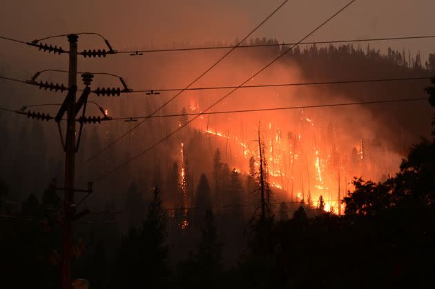 Pine trees burn as the Dixie Fire rages in Twain, California, on Monday. (Photo: ROBYN BECK/AFP via Getty Images)