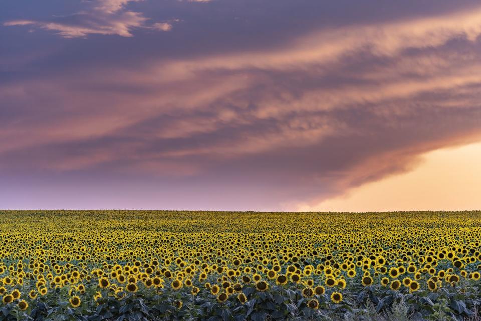 Hydeout Bed and Breakfast in Highmore, South Dakota