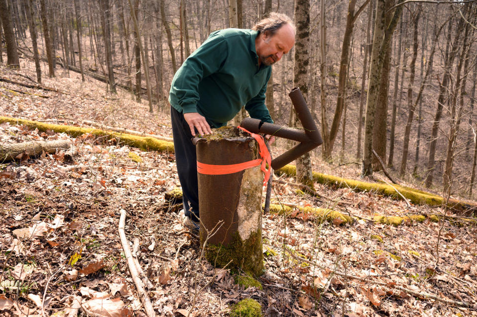 Tom Busoletti, a local stonemason, with an abandoned well in the woods near his home in New Freeport, Pa., on March 29, 2023. (Justin Merriman for NBC News)