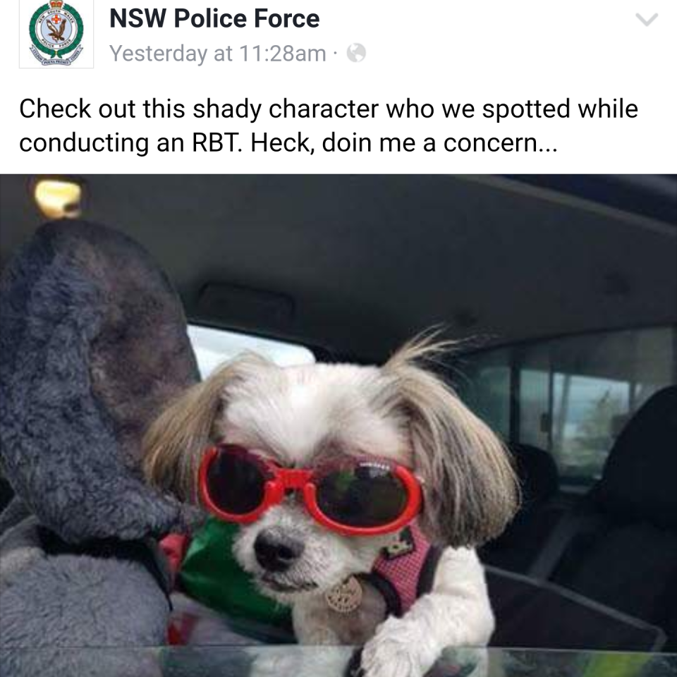 NSW Police funniest Facebook posts