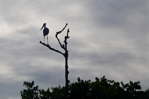 It is also one of Thailand's premier birdwatching destinations - Credit: Ian Lloyd Neubauer