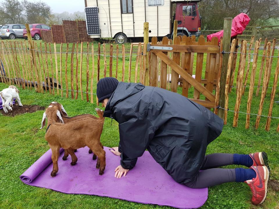 Cat pose? Goat pose? Tomay-to, tomato (Emma Aldous)