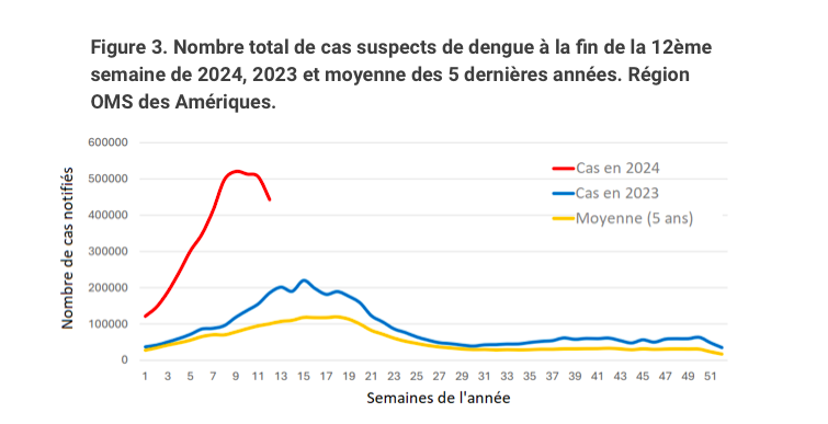 Nombre total de cas suspects de dengue à la fin de la 12ème semaine de 2024, 2023 et moyenne des 5 dernières années. (Image : santepubliquefrance.fr) 