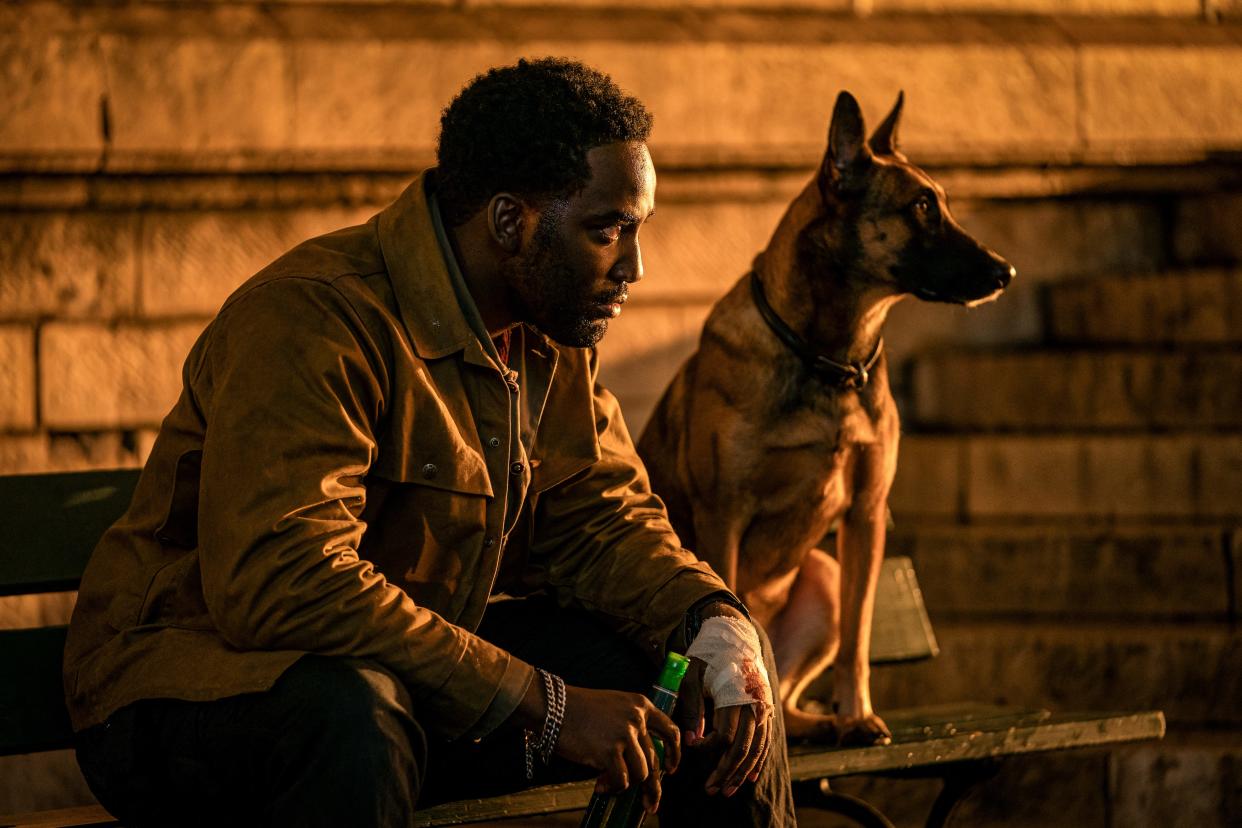 The mysterious Tracker (Shamier Anderson) has a very good dog in "John Wick: Chapter 4."