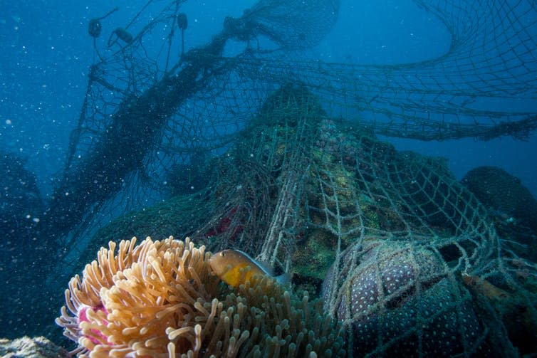 <span class="caption">Discarded fishing nets and other fishing gear make up a significant proportion of the plastic in our oceans.</span> <span class="attribution"><a class="link " href="https://www.shutterstock.com/image-photo/ghost-fishing-net-discarded-by-fishermen-236718586?src=RzdoqH9BrWr0lWihw_f_BQ-1-5" rel="nofollow noopener" target="_blank" data-ylk="slk:Aqua Images/Shutterstock;elm:context_link;itc:0;sec:content-canvas">Aqua Images/Shutterstock</a></span>