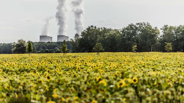 PHOTO: The lignite-fired power plant of Jaenschwalde is pictured behind sun flowers, July 28, 2022, in Doebbrick, Germany. The Jaenschwalde power plant is going to be powered off in 2028 as part of the german coal phase-out. (Florian Gaertner/Photothek via Getty Images)