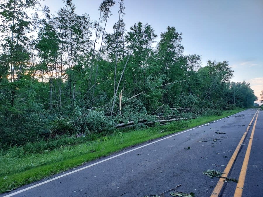 Storm damage in Lake George / Lincoln Township. Courtesy Clare County Emergency Management