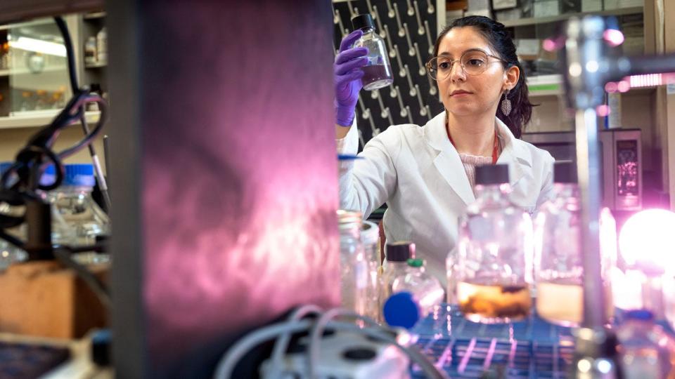Lígia Fonseca Coelho, a postdoctoral associate at the Carl Sagan Institute, works March 1 in a lab cultivating bacteria samples. A study co-authored by Coelho posits that some life-sustaining planets could possible retain a purple hue, unlike the green surfaces that define Earth.