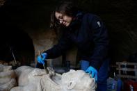 Foto del miércoles de la restauración de una estatua de un emperador romano posando como Hercules