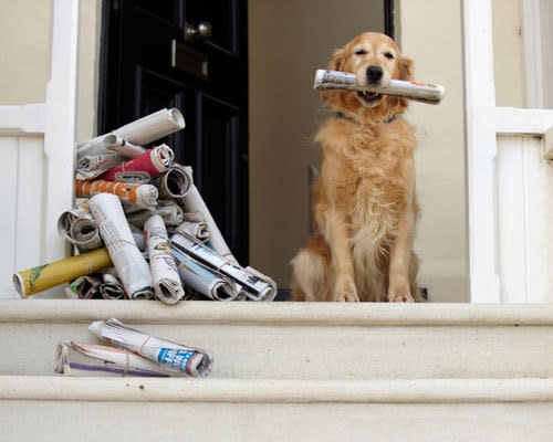 They do their chores