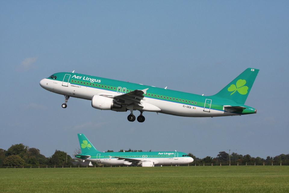 An Aer Lingus plane in Ireland's Dublin Airport in February 2018.