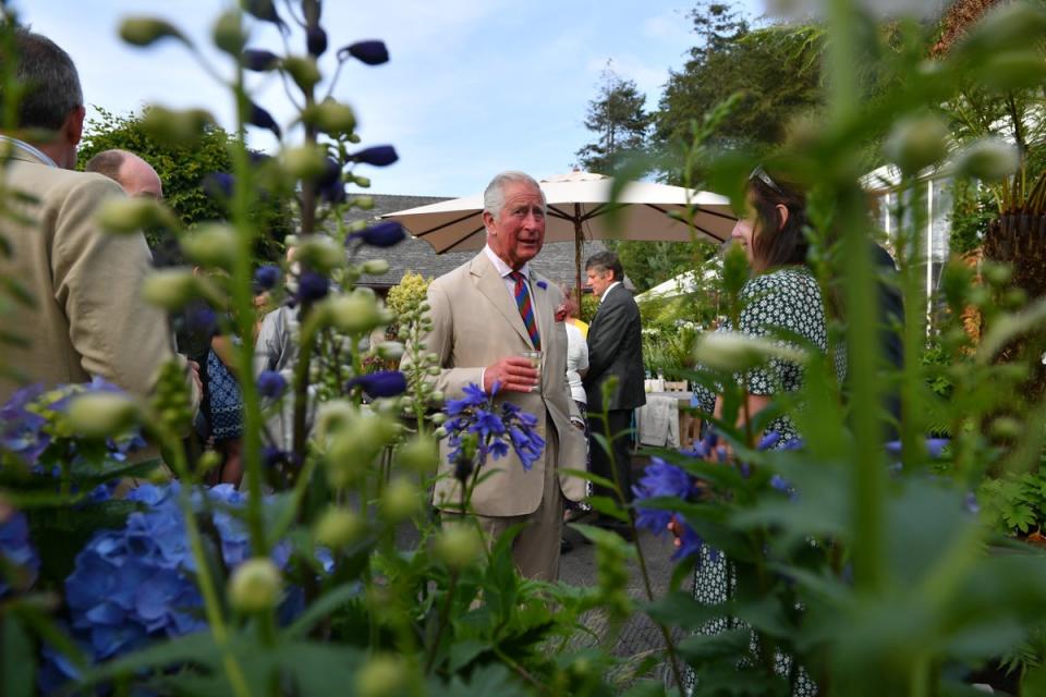 The Prince of Wales attending a reception to celebrate the 50th Anniversary of his chairmanship of the Duchy of Cornwall in 2019 (Ben Birchall/PA) (PA Archive)