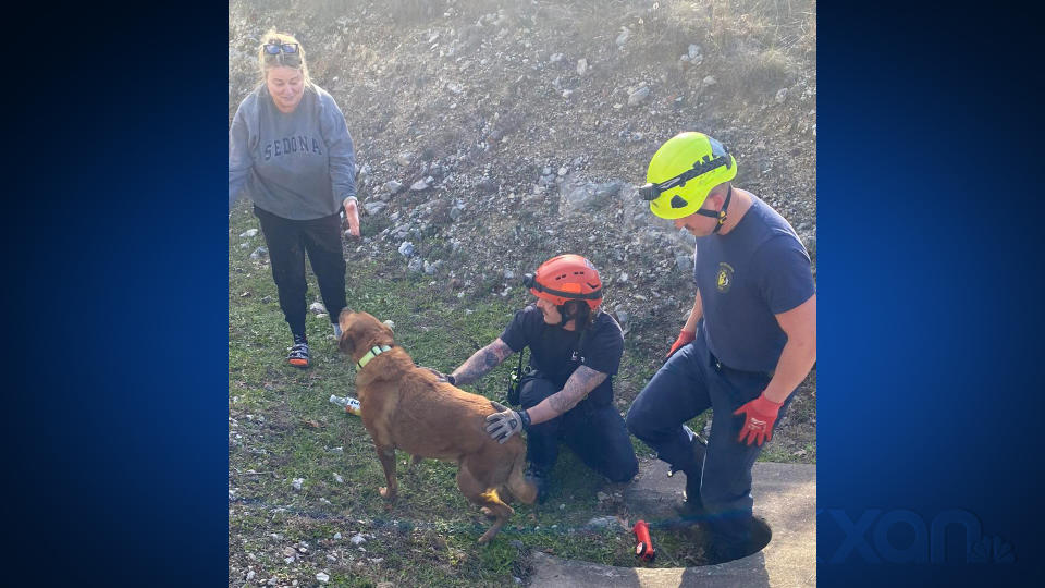 Fire crews rescue dog from a culvert. (Courtesy: Lake Travis Fire and Rescue Facebook Page)