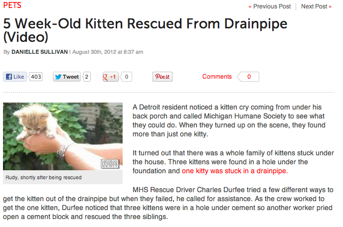 Kitty Drain Pipe Rescue