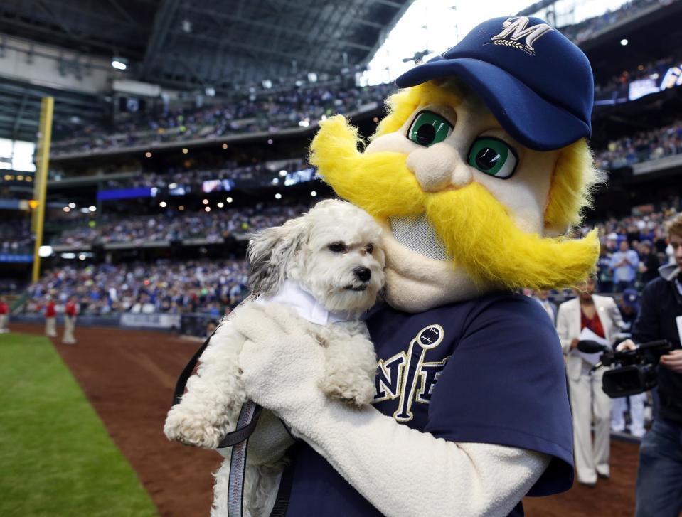 Bernie Brewer, right, carries Hank, the unofficial mascot of the Milwaukee Brewers, out for opening ceremonies before a baseball game between the Brewers and Atlanta Braves at Miller Park, Monday, March 31, 2014, in Milwaukee. (AP Photo/Jeffrey Phelps)