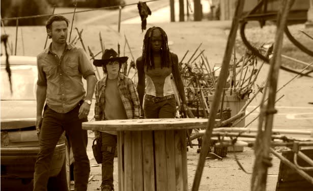 TWD-312-Banner.jpg