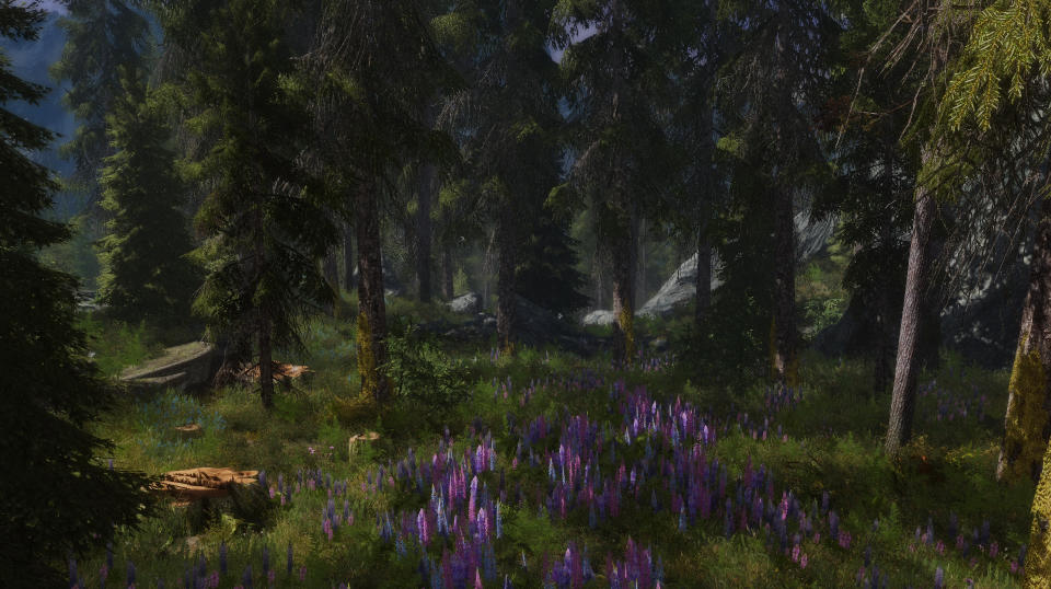 Best Skyrim mods —  a woodland Skyrim glade, made more colorful and vibrant by the Skyrim Flora Overhaul mod