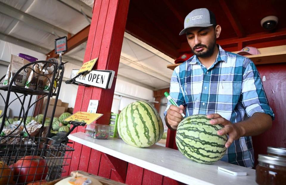 Erik Alfaro marks a melon for sale at Del Bosque Farms’ fruitstand on Shields Ave near I-5 at the far west side of the Valley. Photographed Monday, July 15, 2024.