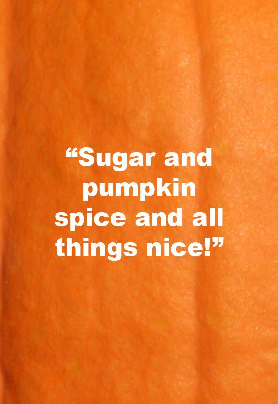 4) Sugar and Pumpkin Spice and All Things Nice!