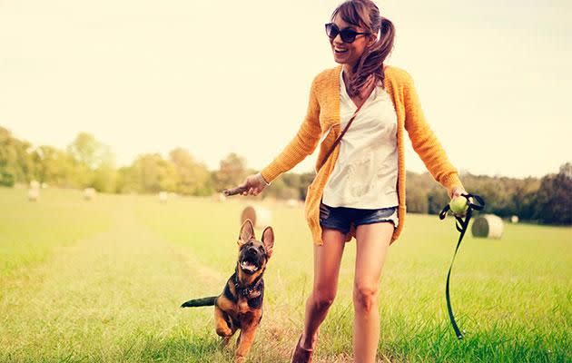 Experts say treats and toys are better ways of making dogs feel loved. Photo: Getty