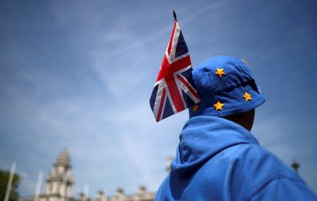 FILE PHOTO: An anti-Brexit protester is pictured outside the Houses of Parliament in London