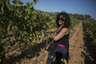 A worker tends to a vineyard after a recent harvest in the southern France region of Provence, Friday Oct. 11, 2019. European producers of agricultural products like French wine, are facing a U.S. tariff hike on Friday, because of illegal EU subsidies to the aviation giant Airbus, with dollars 7.5 billion duties on a range of European goods selectively chosen to hit premium specialty items.(AP Photo/Daniel Cole)