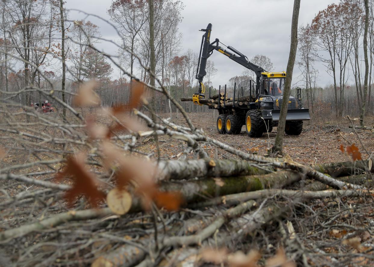A forwarder loads cut logs on Monday, October 24, 2022, near Minocqua, Wis. Researchers at the University of Wisconsin-Stevens Point received a grant to study new ways to use underutilized hardwood timber in northern Wisconsin after the closure of the Wisconsin Rapids mill.