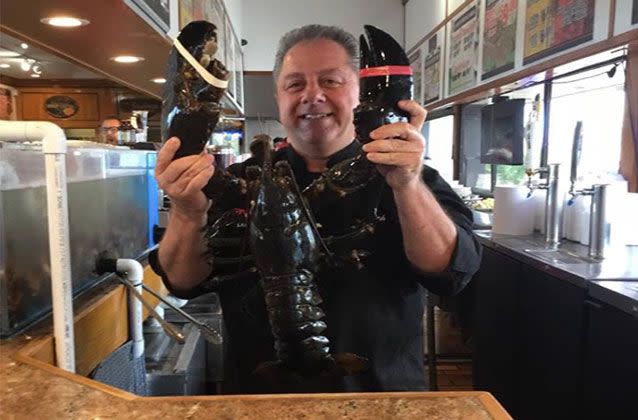 Pete's Clam Bar owner Butch Yamali says goodbye to lobster Louie ahead of his release back to the ocean. Pictures: Facebook/Pete's Clam Bar