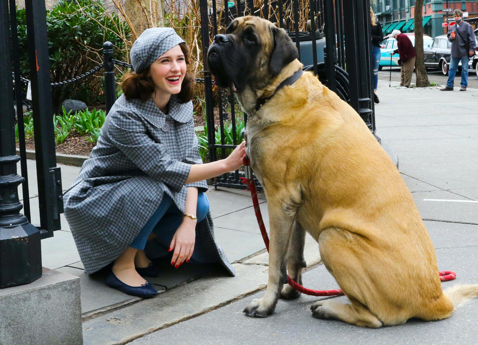 <p>Rachel Brosnahan takes a break from filming to pet an enormous dog passing <em>The Marvelous Mrs. Maisel</em> set on Thursday in downtown N.Y.C.</p>