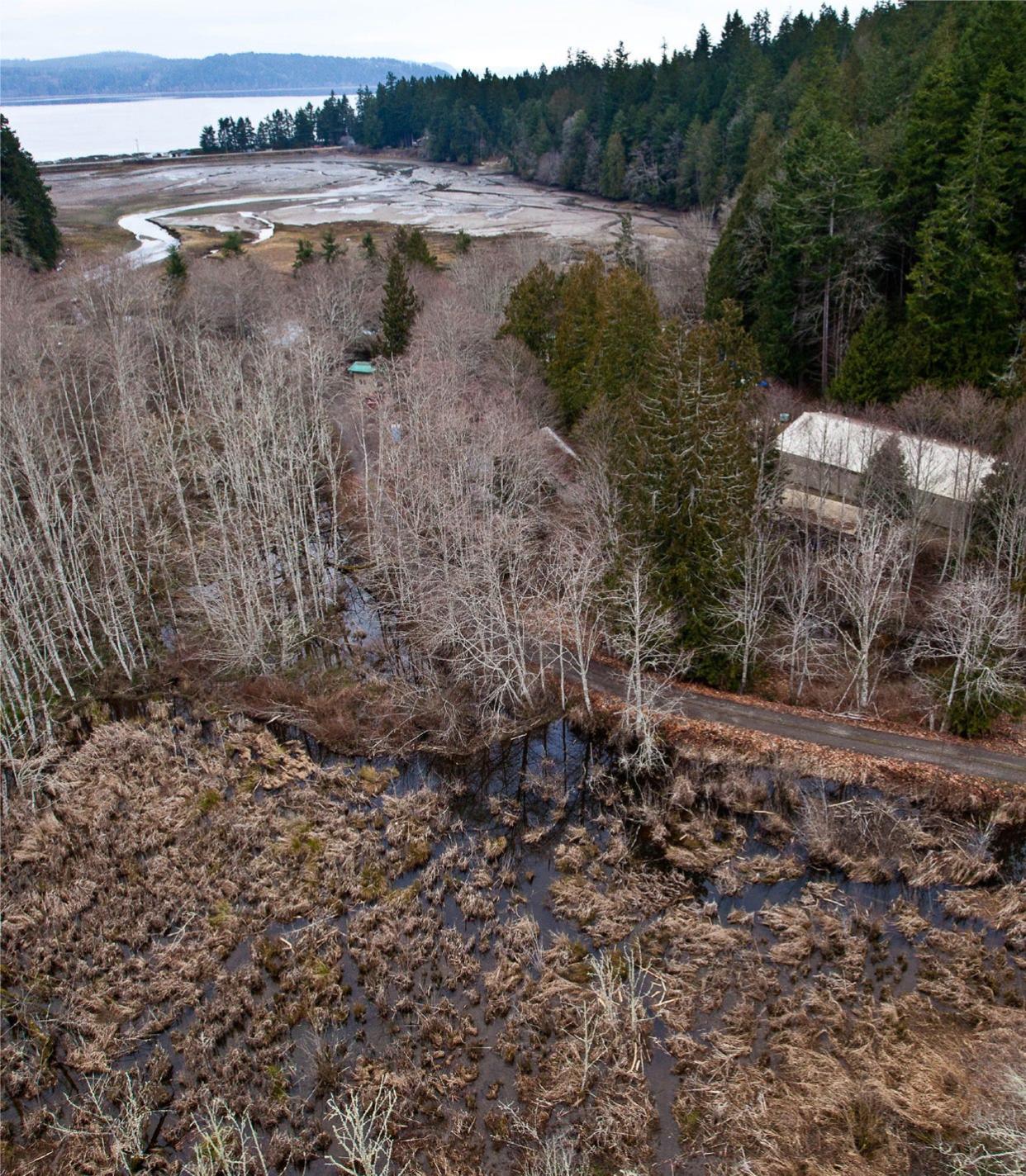 Hood Canal Salmon Enhancement Group has secured the final 50 acres to protect the area.