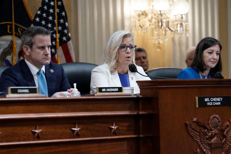 Adam Kinzinger,  Liz Cheney and Elaine Luria (AP)