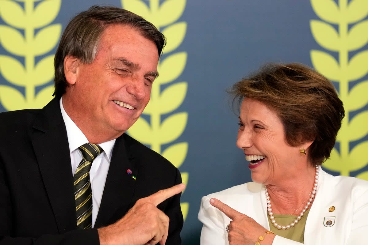 BRASIL ELECCIONES EL CAMPO (AP)