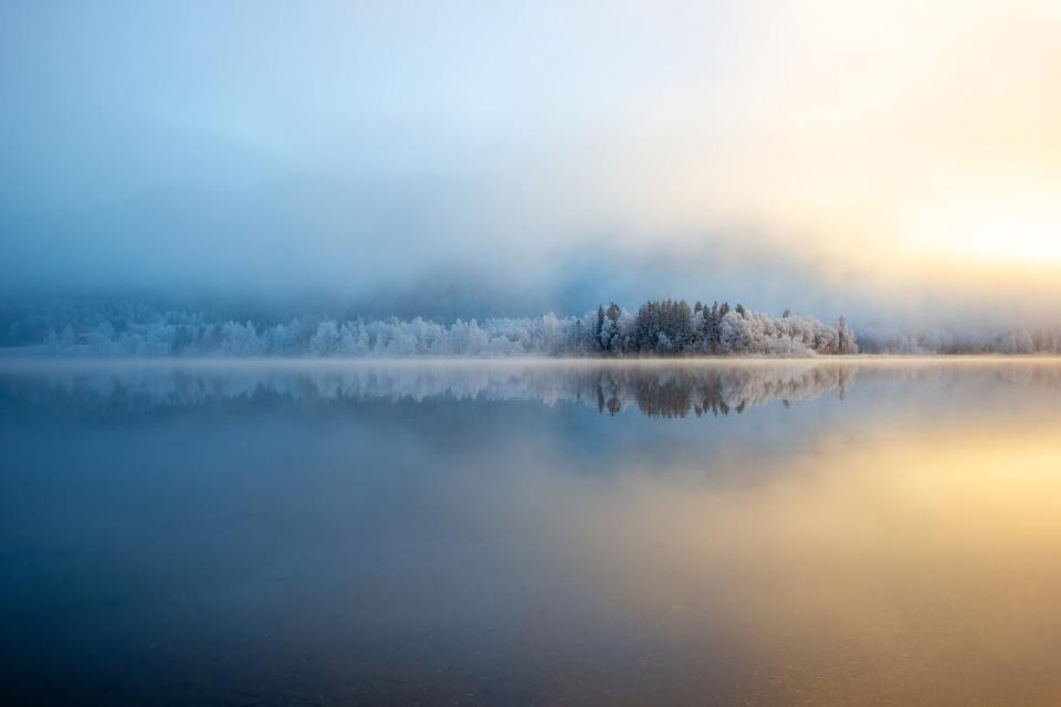 snowy white and green evergreen trees beneath fog across a glassy lake