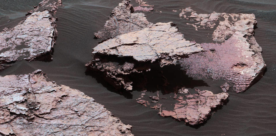 <p>Dieses Gebilde, Squid Cove genannt, entstand möglicherweise vor mehr als drei Milliarden Jahren als Risse in trocknendem Schlamm. Für dieses Bild fügte die Mars-Cam mehrere Aufnahmen zusammen. (Bild: NASA/JPL-Caltech/MSSS) </p>