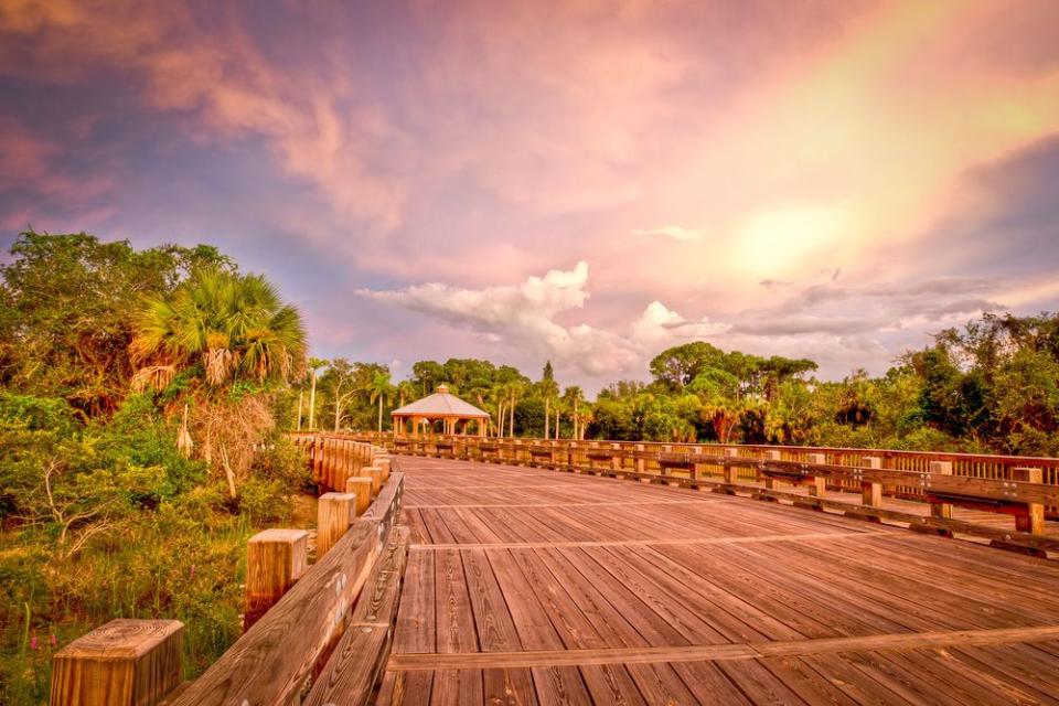 Conservancy of Southwest Florida | Dennis Goodman Photography/courtesy of Naples, Marco Island, Everglades CVB