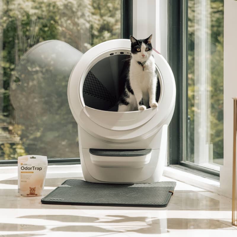 litter robot 4 review