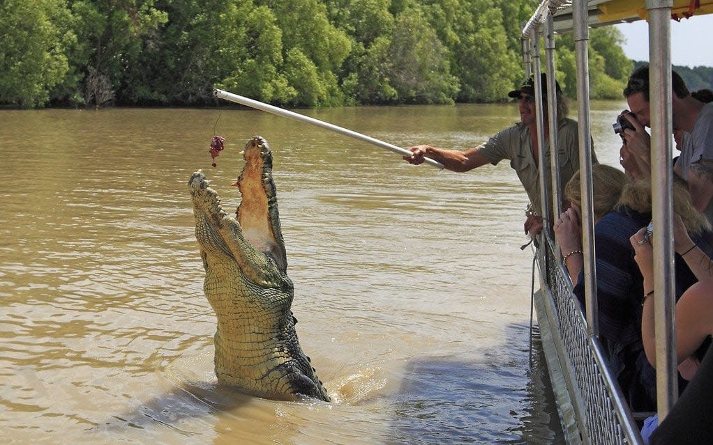 The uptick in deadly crocodiles could make the plans hard to realise - Morales