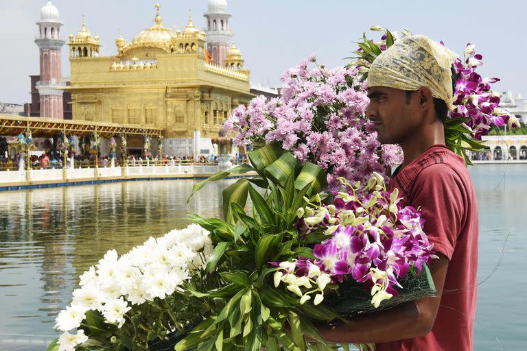 Un trabajador lleva flores para decorar el Templo Dorado antes del 418 aniversario de la instalación del Gurú Granth Sahib (libro sagrado sij), en Amritsar, India.