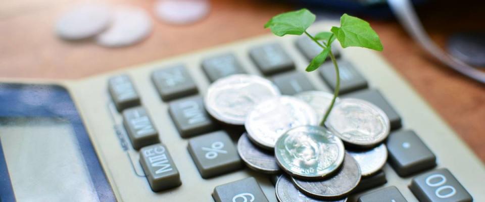 Plant growing out of coins on top of a calculator