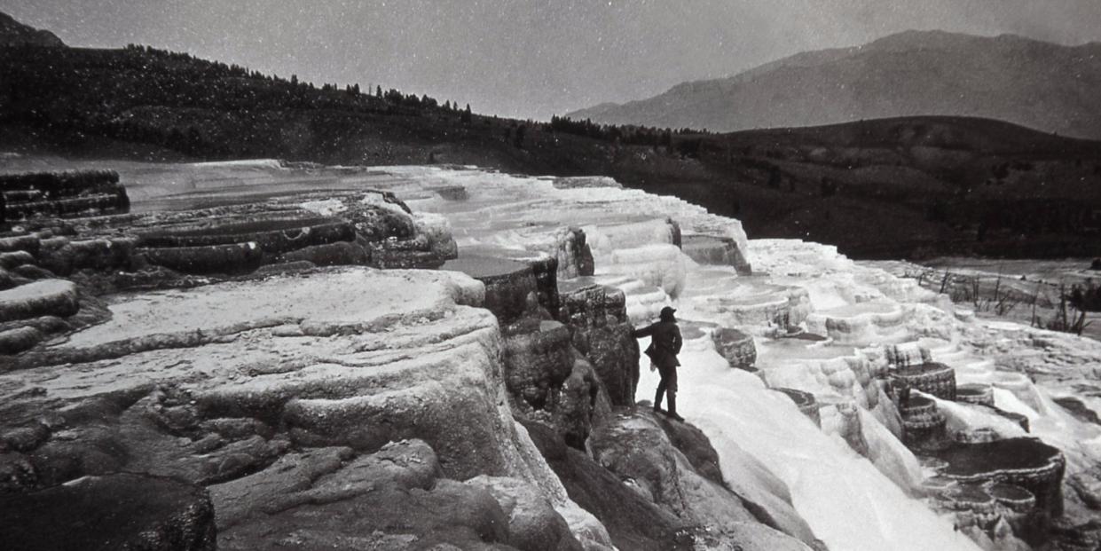 yellowstone national park