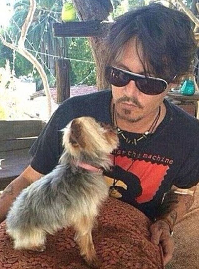 Depp and one of the dogs that started an international incident. Source: Instagram