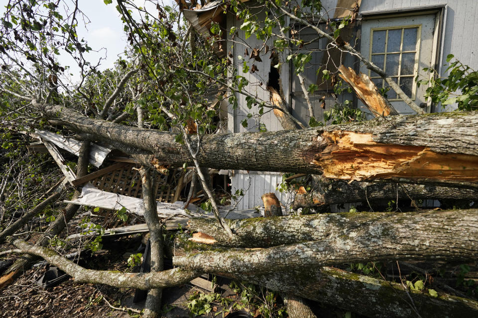 Tree limbs driven by the winds of Sunday's tornado poke through the offices of Poore's Nursery in Yazoo County, Miss., Monday, May 3, 2021. The building and the owners' home were heavily damaged from the fallen trees, some that had yet to be removed by Monday afternoon. (AP Photo/Rogelio V. Solis)