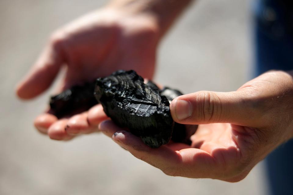 Mike Kelcourse, founder of Sunshine Organics and Compost in Jacksonville, holds biochar, a charcoal-like substance made by burning organic material from agricultural and forestry wastes. It is used to enhance soil fertility, improve plant growth and provide crop nutrition.